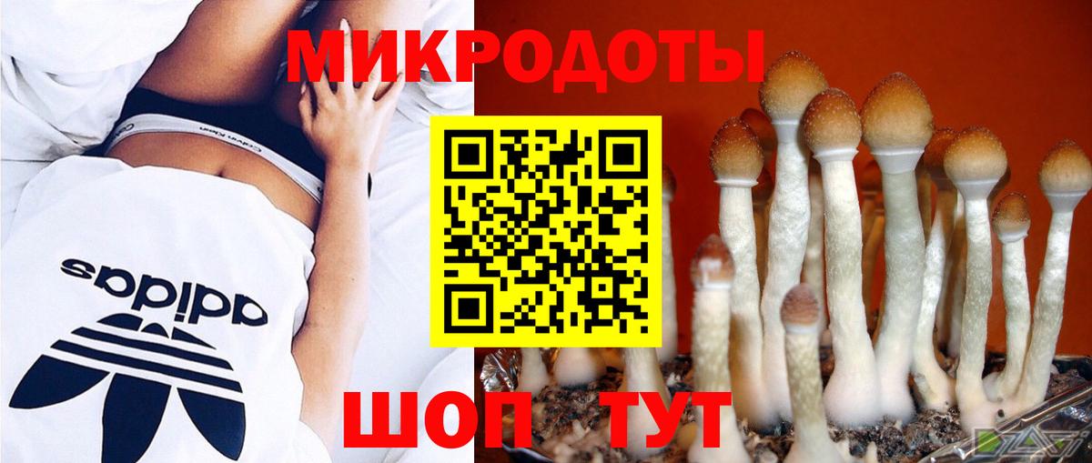 Галлюциногенные грибы Cubensis Кореновск